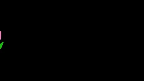 Celebration text animation on black background Stock Footage 341374006
