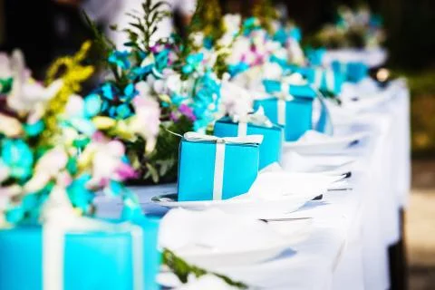 Celebration of wedding Fotos Stock