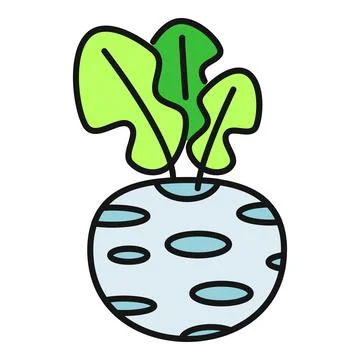 Celeriac root vegetable with green leaves illustration Stock Illustration