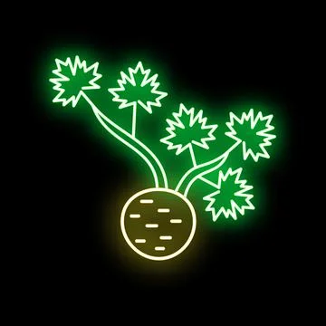 Celeriac root vegetable neon glowing sign icon Stock Illustration