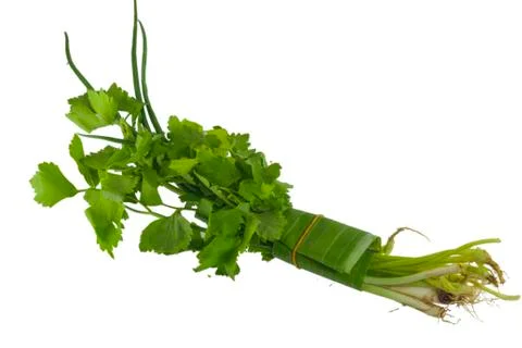 Celery and spring Stock Photos