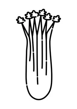 Celery black line icon Stock Illustration
