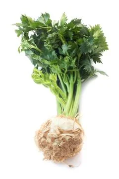 Celery Bulb Stock Photos