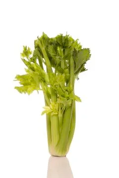 Celery bunch Stock Photos