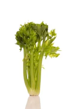 Celery bunch Stock Photos