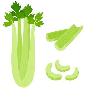 Celery cartoon drawing set Stock Illustration