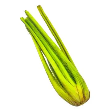 Celery close-up 3d rendering with realistic texture Illustrazione stock
