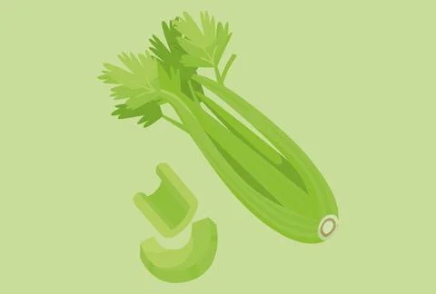 Celery Concept Illustration Stock Illustration