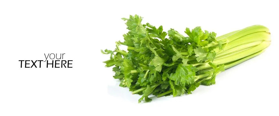 Celery with the copy space Stock Photos