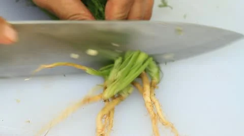 Celery. Video stock 11308976