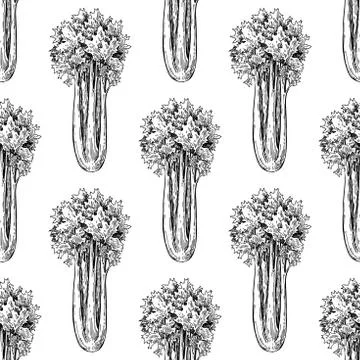 Celery hand drawn vector seamless. Isolated Vegetable engraved style wallpa.. Illustrazione stock