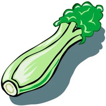 Celery Illustrazione stock