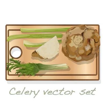 Celery illustration set on white backgrond. Vector image. Stock Illustration