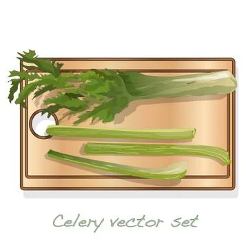 Celery illustration set on white backgrond. Vector image. Stock Illustration
