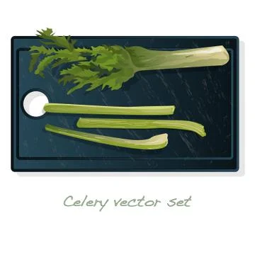Celery illustration set on white backgrond. Vector image. Stock Illustration