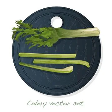 Celery illustration set on white backgrond. Vector image. Stock Illustration
