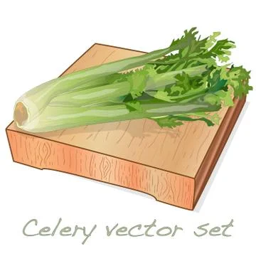 Celery illustration set on white backgrond. Vector image. Stock Illustration