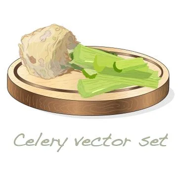 Celery illustration set on white backgrond. Vector image. Stock Illustration