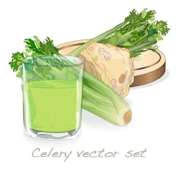 Celery illustration set on white backgrond. Vector image. Stock Illustration