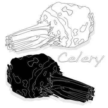 Celery isolated on white backgrond. Stock Illustration