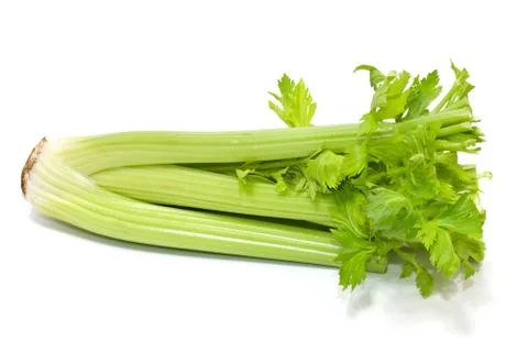 Celery isolated on a white background. Stock Photos
