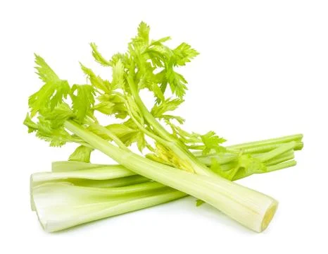 Celery isolated on the white background Stock Photos
