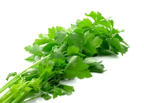 Celery isolated on white background Stock Photos