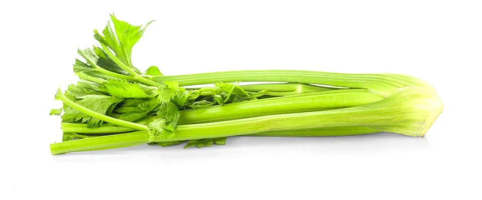 Celery isolated on white background Stock Photos