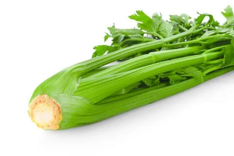 Celery isolated on white background Stock Photos