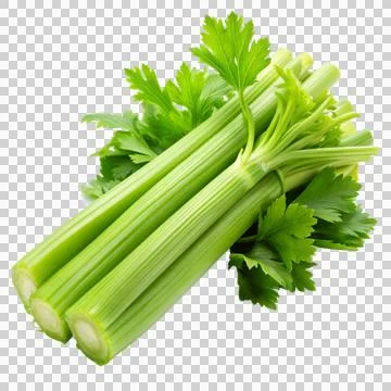 Celery-isolated-on-white-background Stock Photos