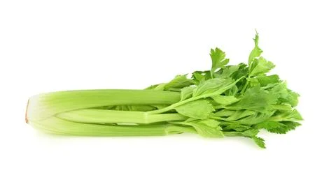 Celery isolated on white background Stock Photos