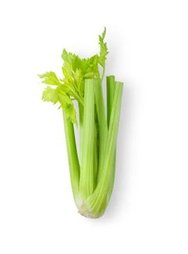 Celery isolated on white background. top view Stock Photos