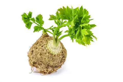 Celery isolated on white on a white cutout.. Stock Photos