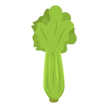 Celery leaf icon, isometric style Illustrazione stock