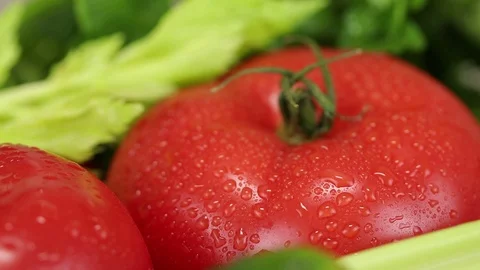 Celery leaves and tomatoes Stock Footage 122574714