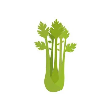 Celery leaves icon line colored. Vegetable flat illustration Stock Illustration