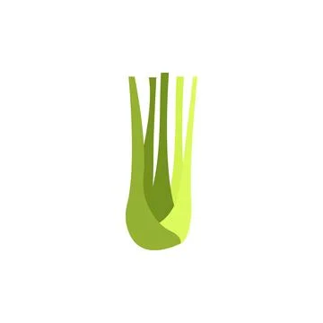 Celery leaves icon line colored. Vegetable flat illustration Stock Illustration