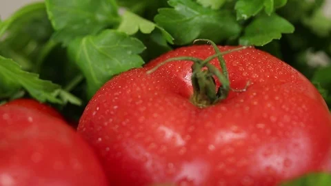 Celery leaves, tomatoes and cucumbers Stock Footage 122574702