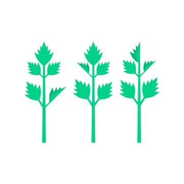Celery leaves on white background Stock Illustration