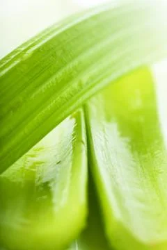 Celery Stock Photos