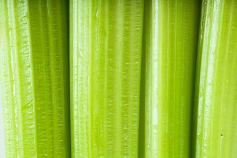Celery Stock Photos