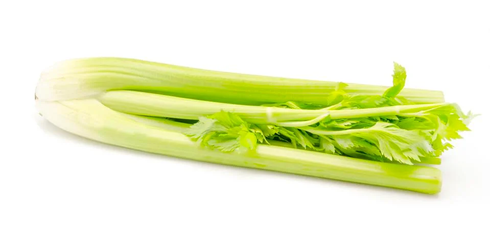 Celery Stock Photos