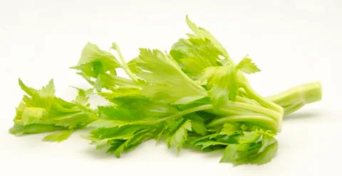 Celery Stock Photos