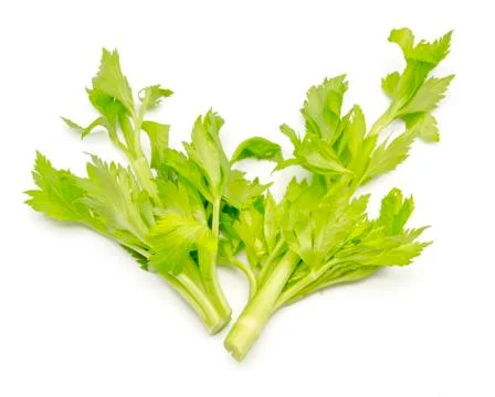 Celery Stock Photos