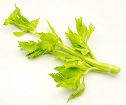 Celery Stock Photos