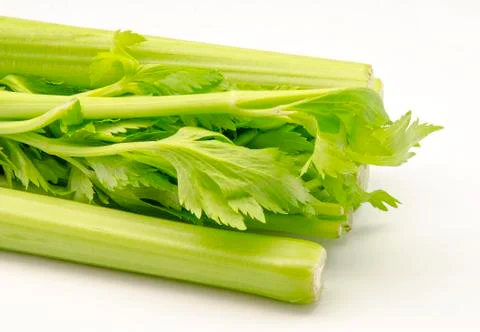 Celery Stock Photos