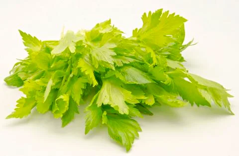 Celery Stock Photos