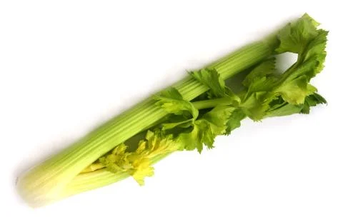 Celery Stock Photos