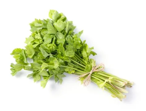Celery Stock Photos