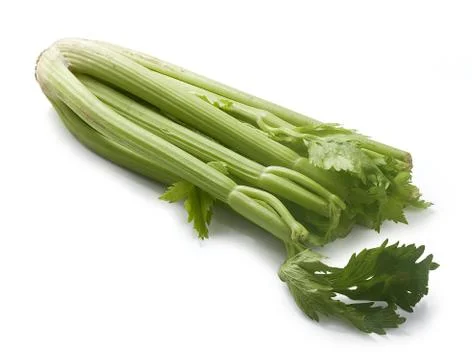 Celery Stock Photos